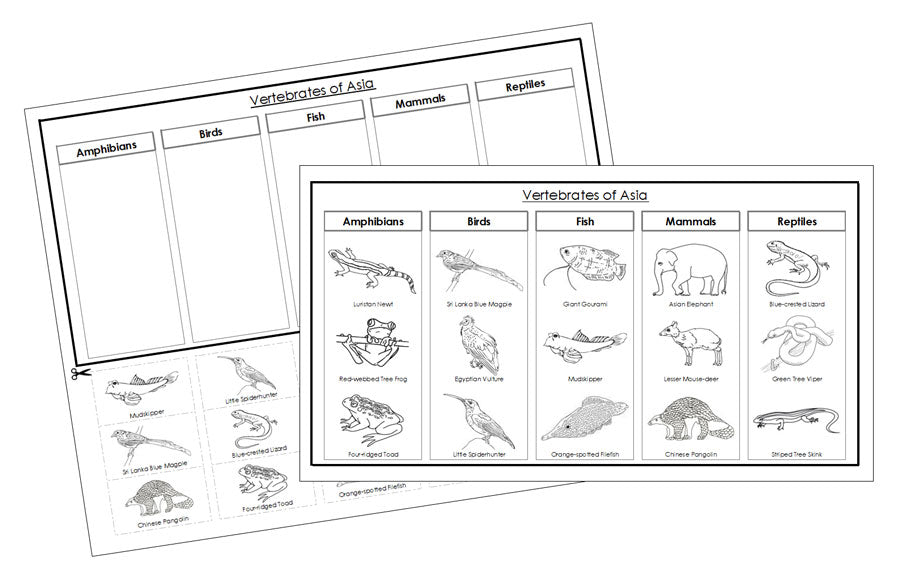 Asia Vertebrate Sorting Blackline Masters - Montessori Print Shop animal activity