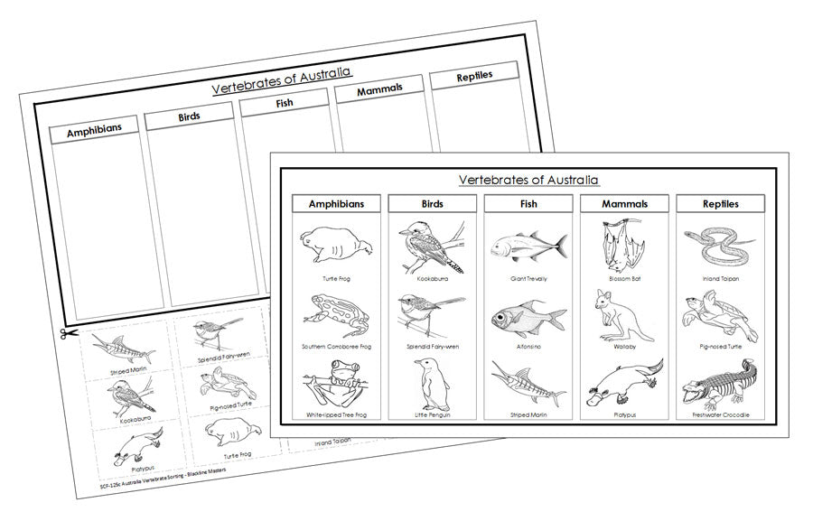 Australia Vertebrate Sorting Blackline Masters - Montessori Print Shop animal activity