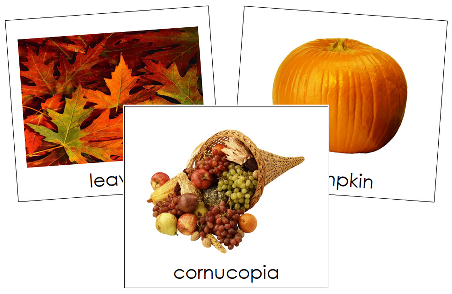 Autumn Season Cards Toddler Cards - Montessori Print Shop Digital Download