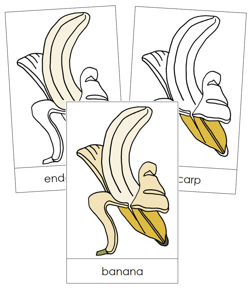Banana Nomenclature Cards - Montessori Print Shop