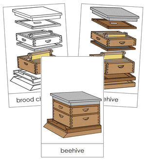 Beehive Nomenclature Cards - Montessori Print Shop