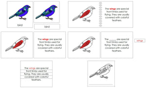 Bird Definition Set - Montessori Print Shop nomenclature