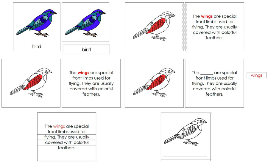 Bird Definition Set - Montessori Print Shop nomenclature