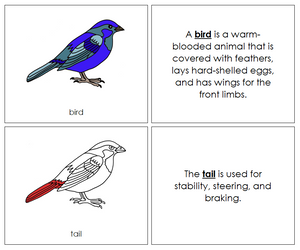 Bird Nomenclature Book (red) - Montessori Print Shop
