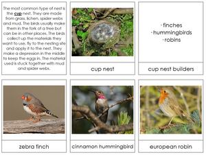 Birds And Their Nests - Montessori Print Shop