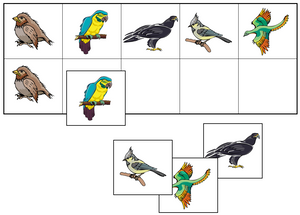 Bird Match-Up & Memory Game - Montessori Print Shop