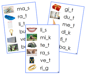 Blue CVCC Missing Consonant Cards (photos) - Montessori Print Shop