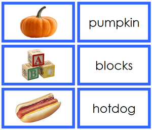 Blue Phonetic Word & Picture Cards - Montessori language cards