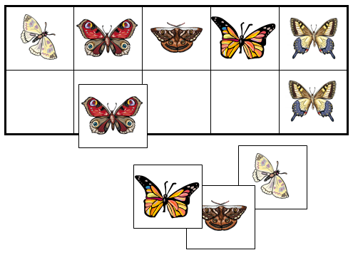 Butterfly Match-Up & Memory Game - Montessori Print Shop
