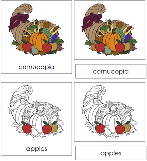 Cornucopia Nomenclature 3-Part Cards - Montessori Print Shop