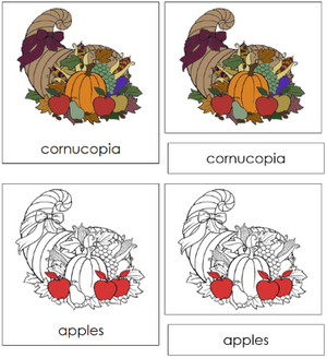 Cornucopia Nomenclature 3-Part Cards (red) - Montessori Print Shop