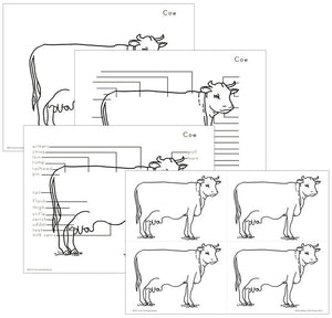 Elementary Cow Nomenclature - Montessori Print Shop