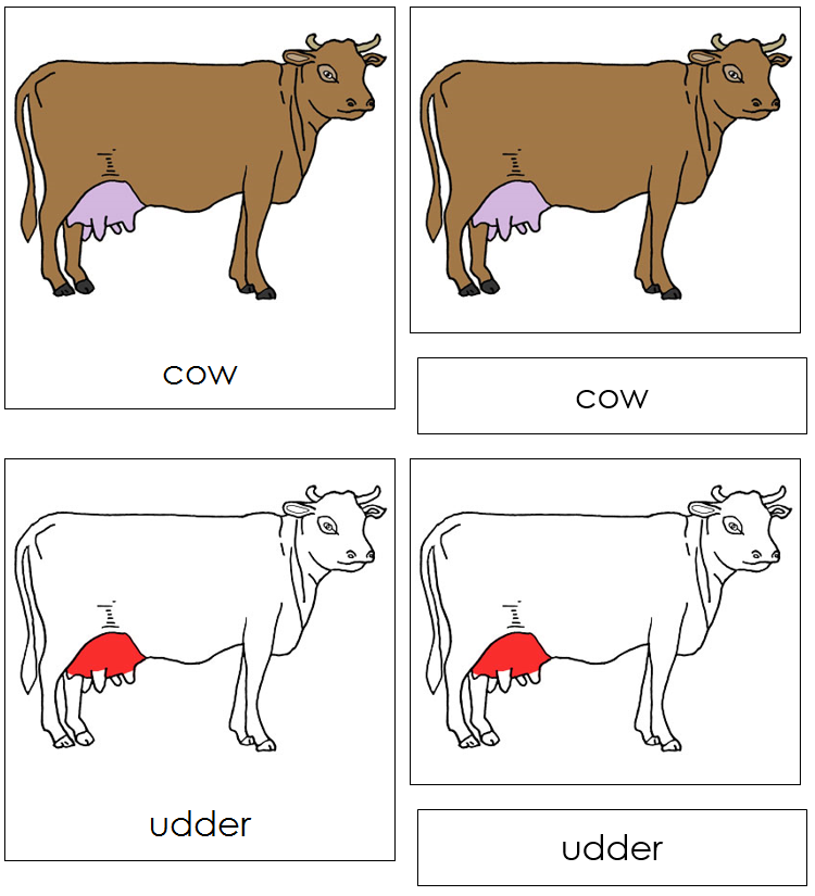 Cow Nomenclature Cards (red) - Montessori Print Shop