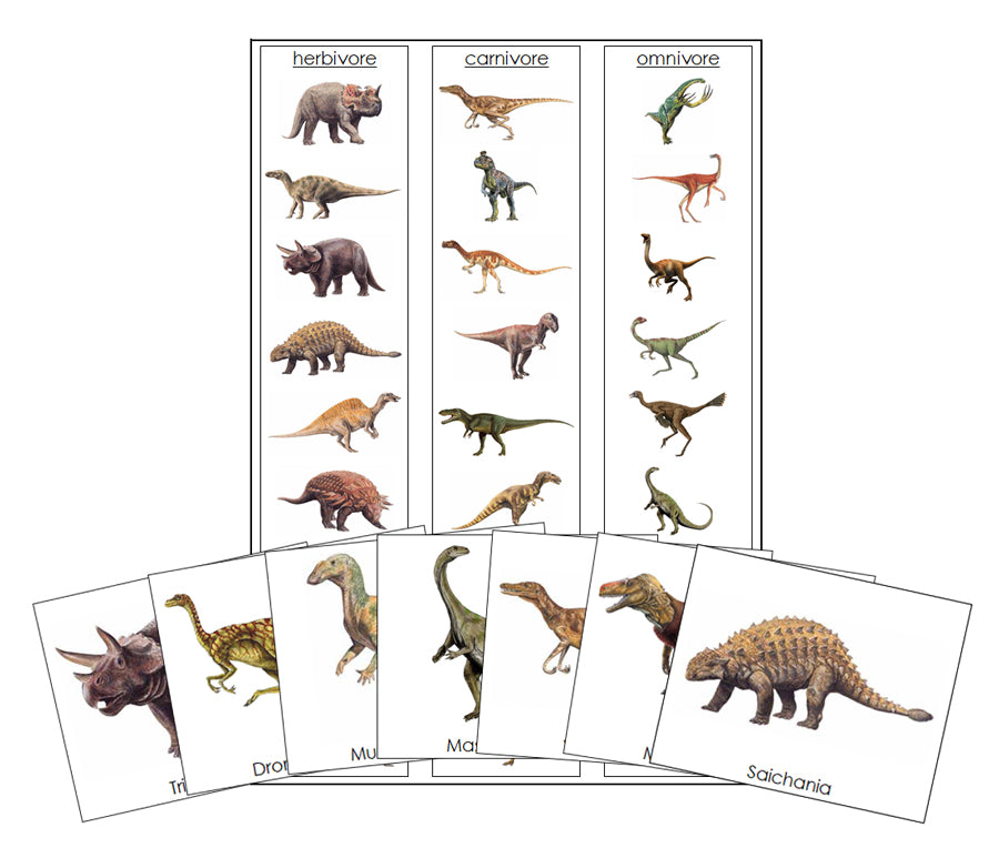 Printable Dinosaur Sorting (Herbivores, Carnivores & Omnivores) - Montessori Print Shop