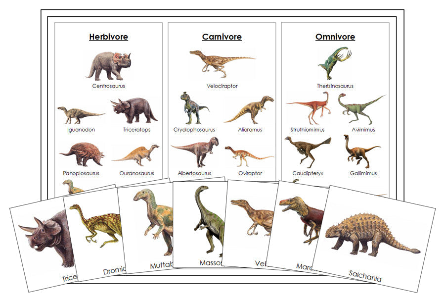 Printable Dinosaur Sorting (Herbivores, Carnivores & Omnivores) - Montessori Print Shop