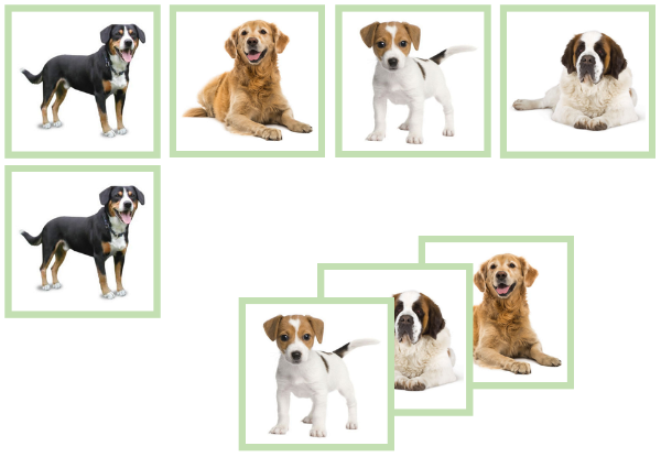 dog matching cards - Montessori Print Shop
