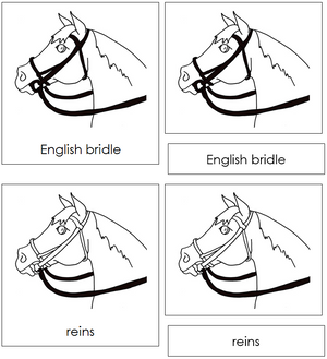 English Bridle Nomenclature 3-Part Cards - Montessori Print Shop