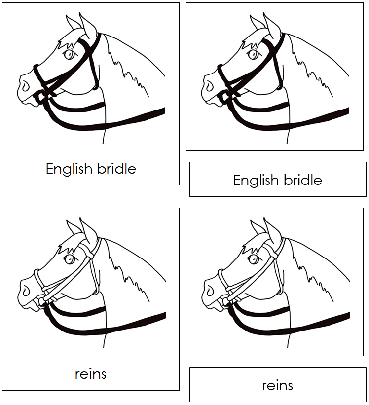 English Bridle Nomenclature Cards - Montessori Print Shop