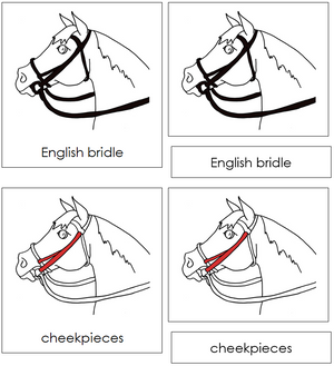 English Bridle Nomenclature 3-Part Cards (red) - Montessori Print Shop