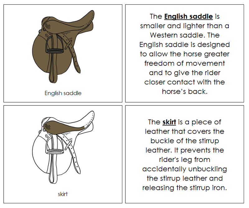 English Saddle Nomenclature Book Montessori Print Shop