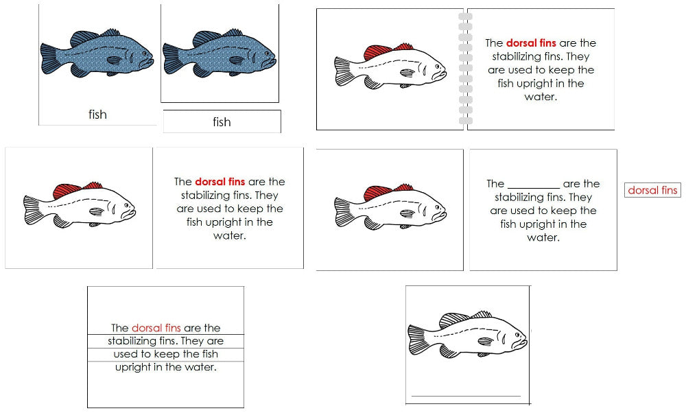 Fish Definition Set (red) - Montessori Print Shop