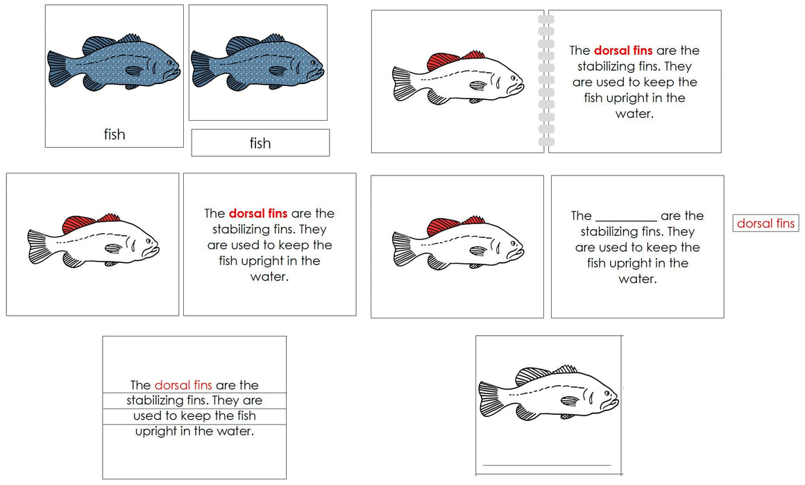 Fish Definition Set (color) - Montessori Print Shop