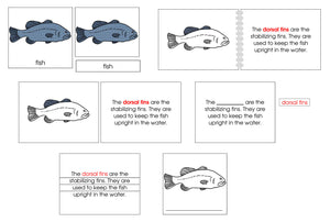 Fish Definition Set - Montessori Print Shop nomenclature