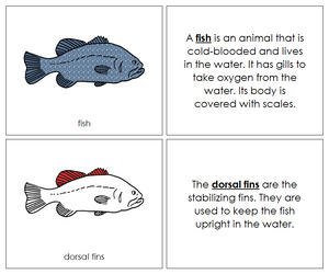 Parts of a Fish Nomenclature Book (red) - Montessori Print Shop