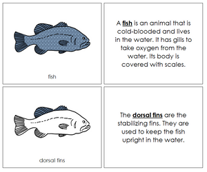Parts of a Fish Nomenclature Book - Montessori Print Shop