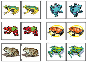 Frog Match-Up & Memory Game - Montessori Print Shop