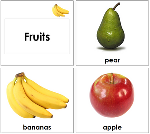 Montessori Toddler Fruit Cards