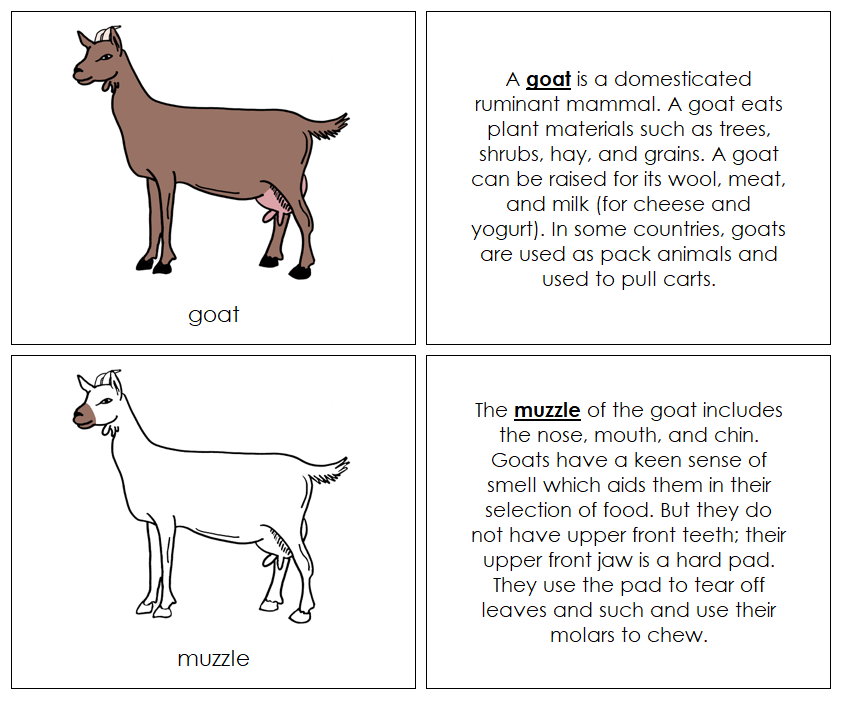 Parts of a Goat Nomenclature Book - Montessori Print Shop