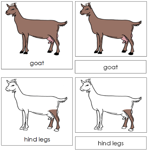 Goat Nomenclature Cards - Montessori Print Shop