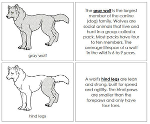 Gray Wolf Nomenclature Book - Montessori Print Shop