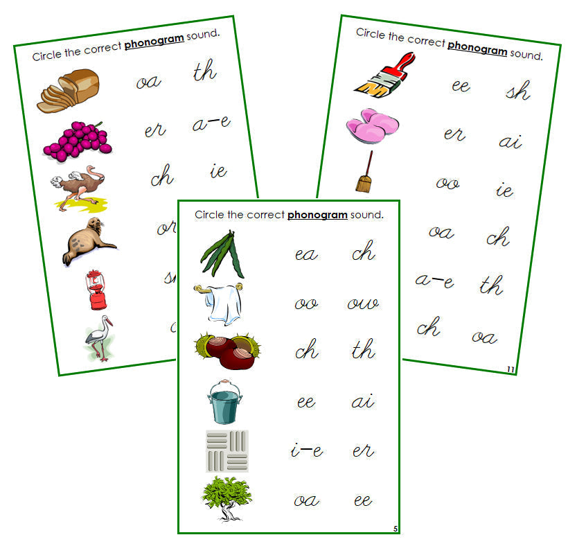 Green Phonogram Sound Choice Cards - Set 1 - CURSIVE - Montessori Print Shop phonograms lesson