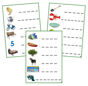 Green Phonogram Spelling Cards - Set 1 (photos) - CURSIVE - Montessori Print Shop phonogram lesson