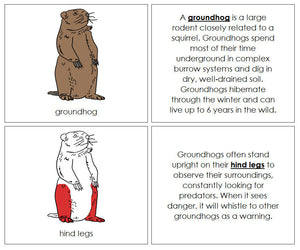 Parts of a Groundhog Nomenclature Book (red) - Montessori Print Shop
