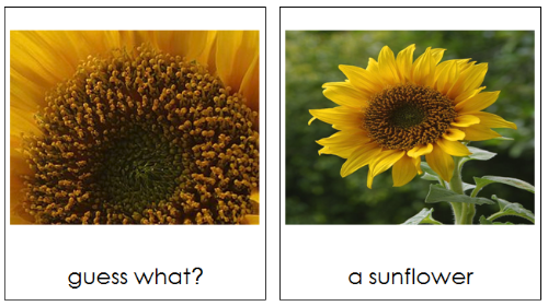 Guess What? - preschool matching cards