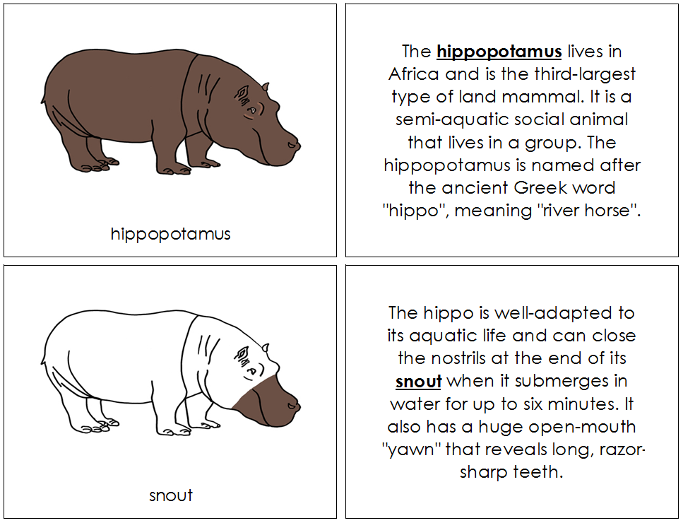 Hippopotamus Nomenclature Book - Montessori Print Shop