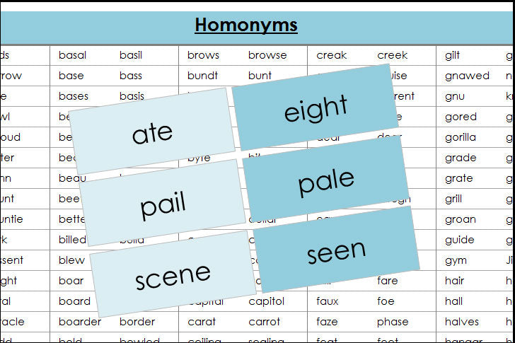 Homonym Cards (color) - Montessori Print Shop grammar