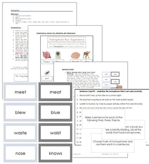 Homophone Key Experience - elementary montessori language cards