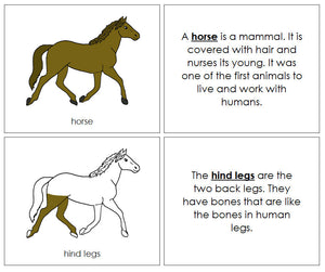 Parts of a Horse Nomenclature Book - Montessori Print Shop