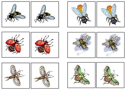 Insect Match Bug Matching Cards