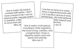 Invertebrates Quiz Cards - Montessori Print Shop