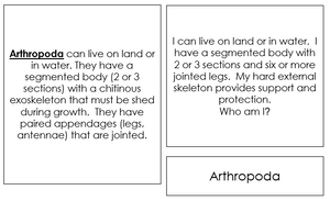 Invertebrates Quiz Cards - Montessori science cards