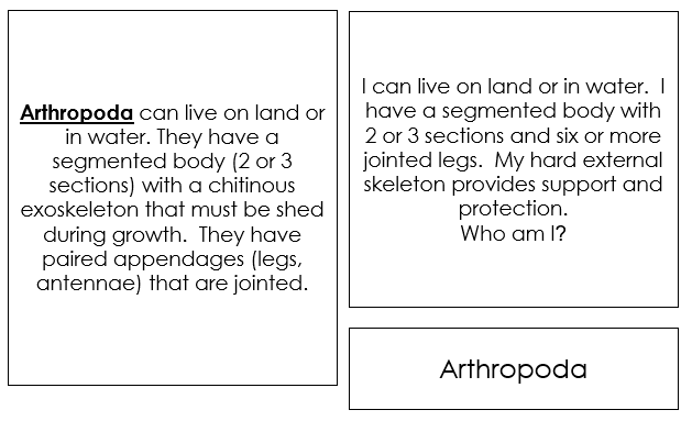 Invertebrates Quiz Cards - Montessori Print Shop