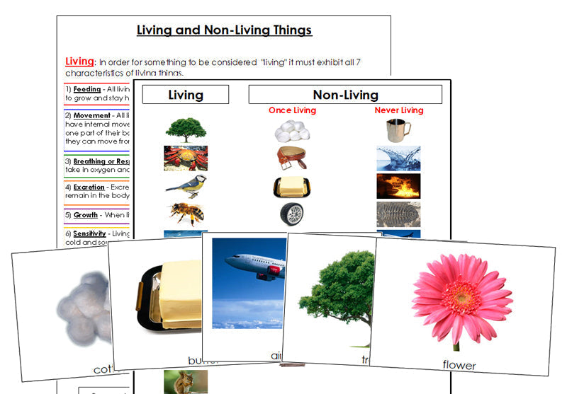 Living & Non-Living Cards and Chart - Montessori Print Shop printable science materials