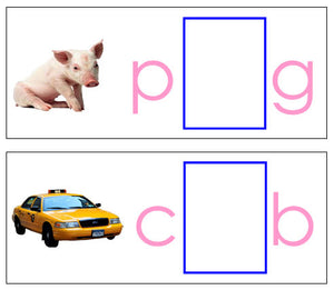 Vowel Sound Cards (print) - Pink/Blue - Montessori Print Shop