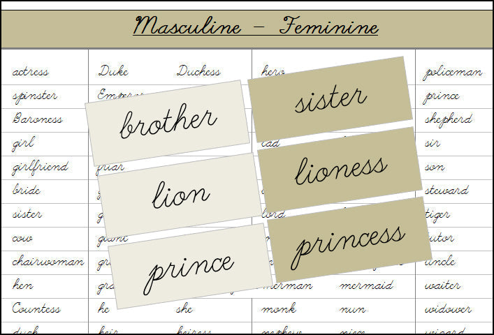 Masculine & Feminine (color, cursive) - Montessori Print Shop Grammar Lesson