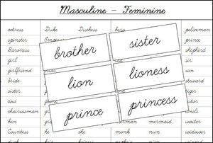 Masculine & Feminine Cards (cursive) - Montessori Print Shop Grammar Lesson